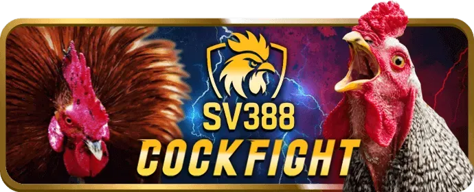 Nổ Hũ và Game Bài phong phú